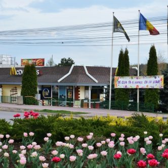 1470746654180-show_upload_viewobjective_1403804555_vsm_347