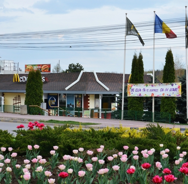 Mc Donalds – Bacău, Suceava