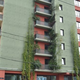 1470817805135-dsc005522yvadk3com7ewlkpr1mbcw-s4