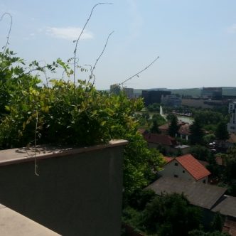 1470817805445-2015061511542631ojim3ydcuivbouiupfcw-s4