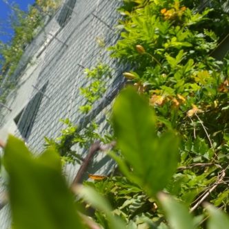 1470817806320-wp20141020141736pro31ojnhrmqdzs357mzv6328-s4