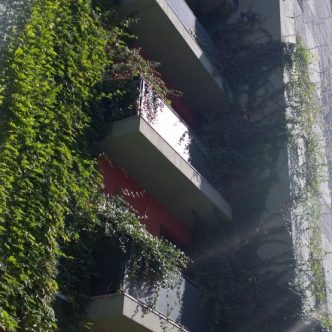 1470817806406-wp20141020141602pro231ojniwcb0sh3kxhgntzi8-s4